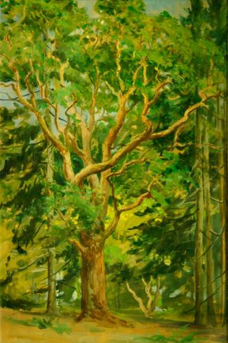 Archive 9Oct2002 Disk#1