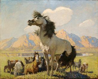 Archive 26Nov2002 Disc#1