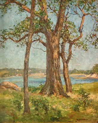 TREE ON SHORE