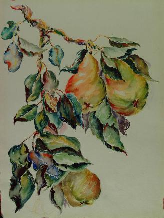 Archive 26July2001  Disk#1