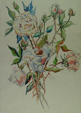 Archive 26July2001  Disk#1