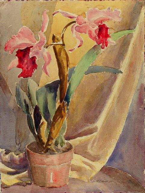 Archive 30Jan2002 Disk #1