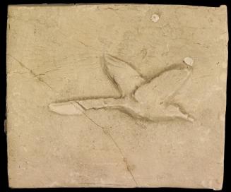 Archive 17Apr2003 Disk #1