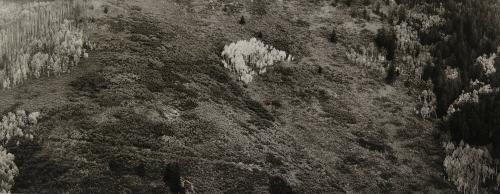 Archive 1May2003 Disk#1