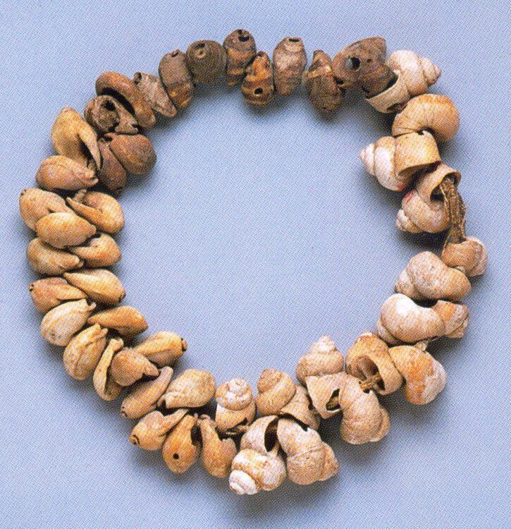 STRING OF PIERCED SHELLS