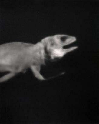 Archive 2May2003 Disk#2