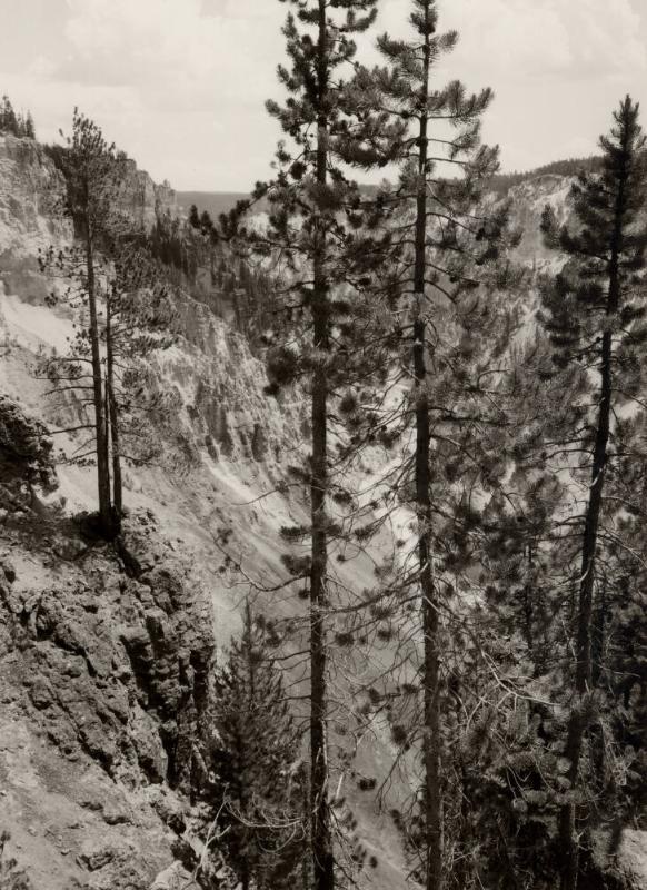 Archive 7May2003 Disk#1