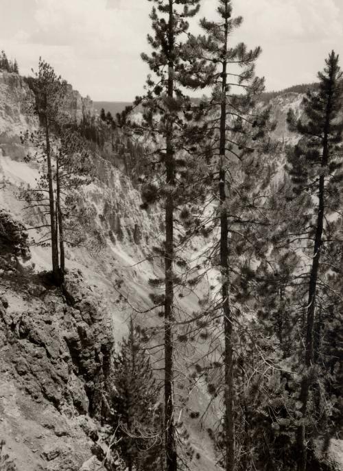 Archive 7May2003 Disk#1