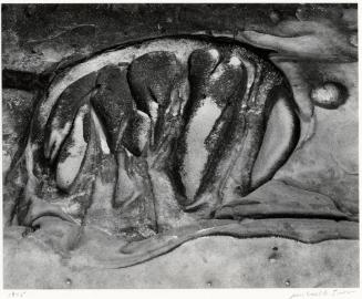 Archive 8May2003 Disk#1