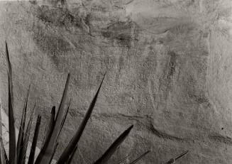 Archive 8May2003 Disk#1