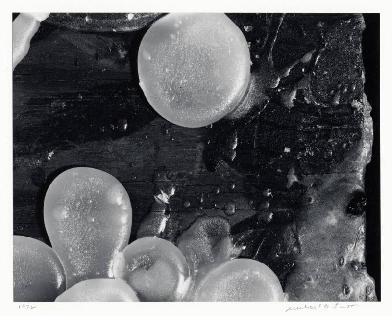 Archive 9May2003 Disk#1