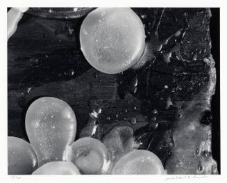 Archive 9May2003 Disk#1