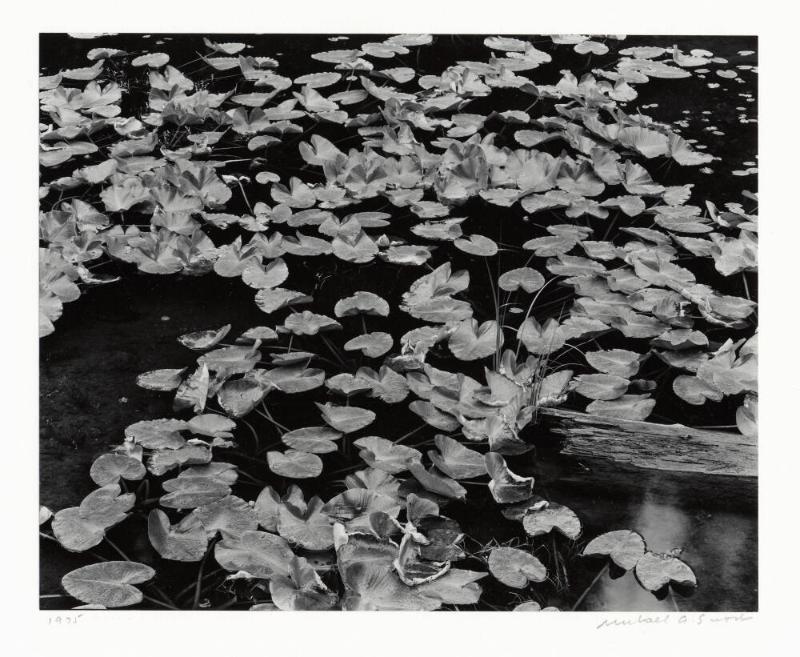 Archive 9May2003 Disk#1