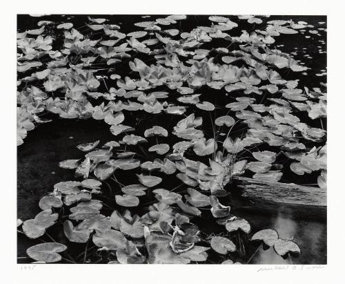 Archive 9May2003 Disk#1