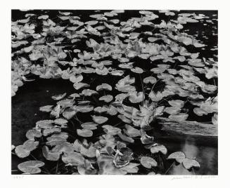 Archive 9May2003 Disk#1