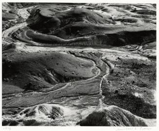 Archive 8May2003 Disk#1