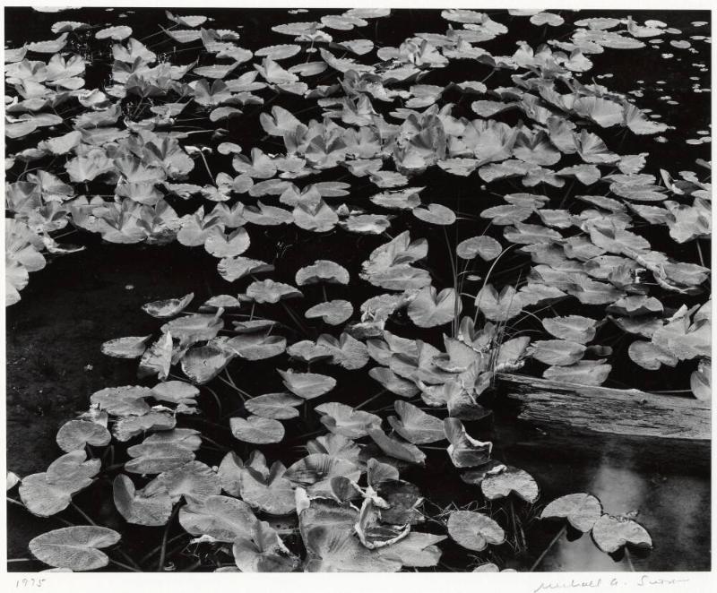 Archive 8May2003 Disk#1