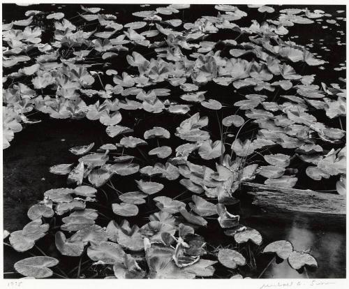 Archive 8May2003 Disk#1