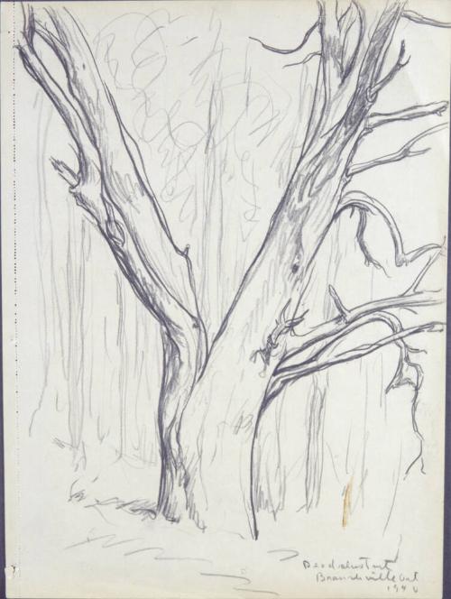 Archive 23Feb2001 Disk#1