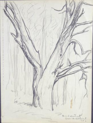 Archive 23Feb2001 Disk#1