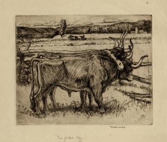 Archive 26Jun2003 Disk#1