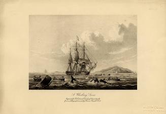 Archive 26Nov2001 Disk#1