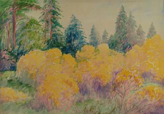 Archive 8August2001 Disk #1