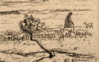 Archive 31July2001 Disk#1