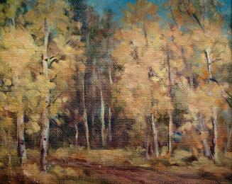 Archive 2Jul2003 Disk#2