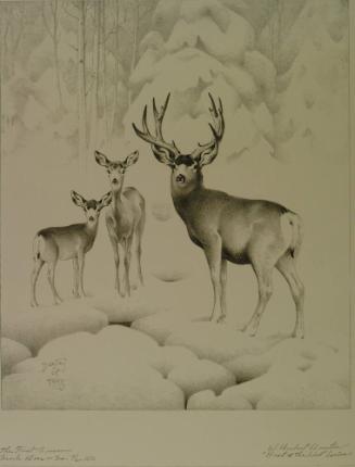 Archive 25September2001 Disk#1