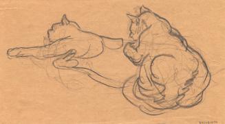 CAT SNIFFING LEAVES (V. 832080370)