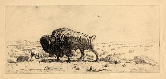 Archive 8Aug2003 Disk#1