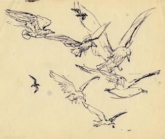 Archive 3May2002 Disk#3