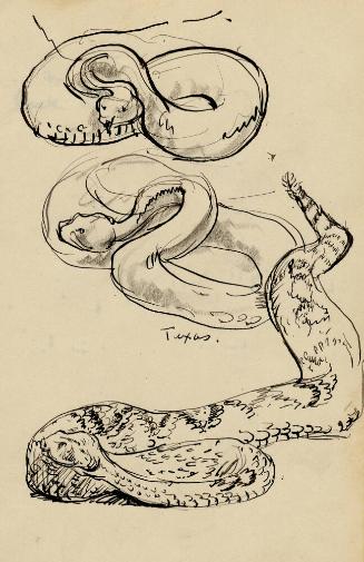 Archive 8Nov2001 Disk#2