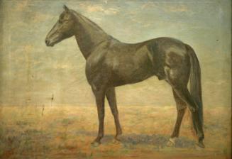 Archive 8Sept2003 Disk#1