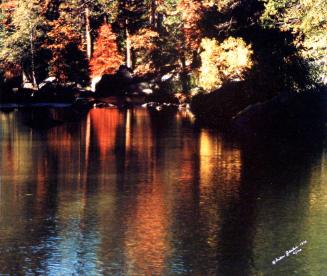 Archive 15Mar2002 Disk #1