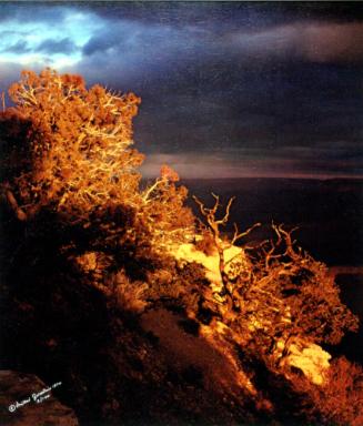 Archive 2May2003 Disk#1