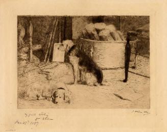 Archive 7Nov2003 Disk#1