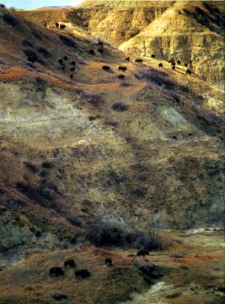 Archive 19Nov2003 Disk#1