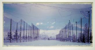 Archive 19Nov2003 Disk#1