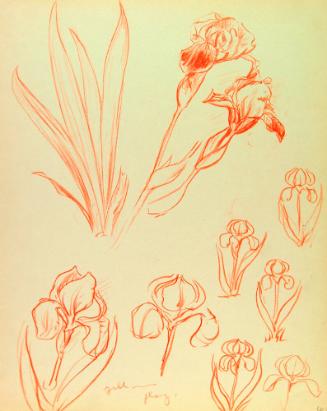 Archive 24May2002 Disk#1