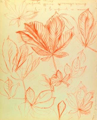 Archive 24May2002 Disk#1