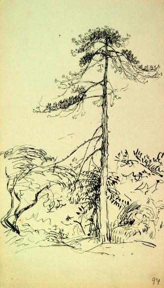 Archive 6June2002 Disk#1