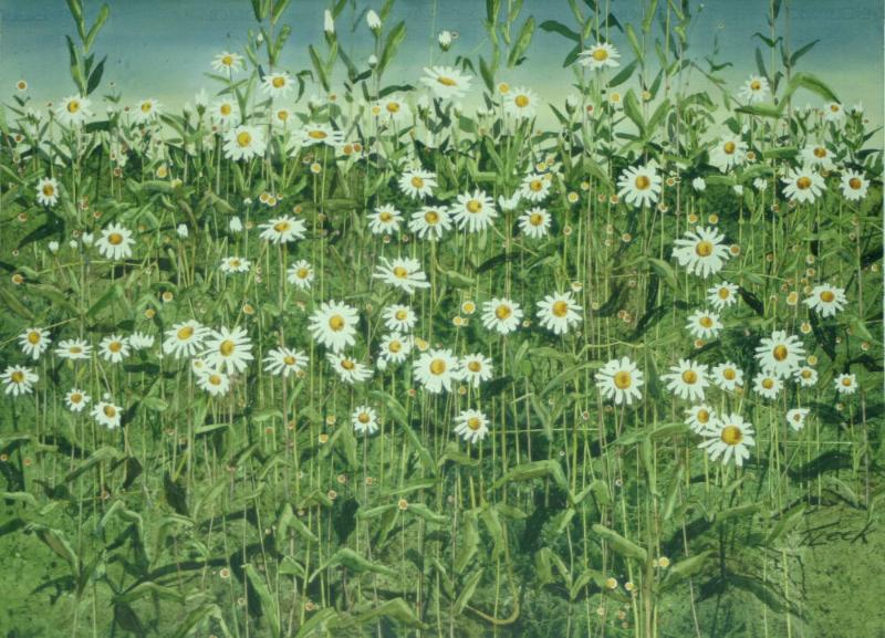 Archive 28April2004 Disk#1