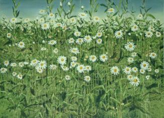 Archive 28April2004 Disk#1