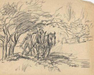 Archive 14July2004 Disk#1