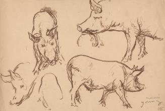 Archive 19July2004 Disk#1