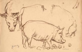 Archive 19July2004 Disk#1