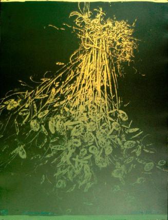 LUNARIA  ANNUA (VIII/X)