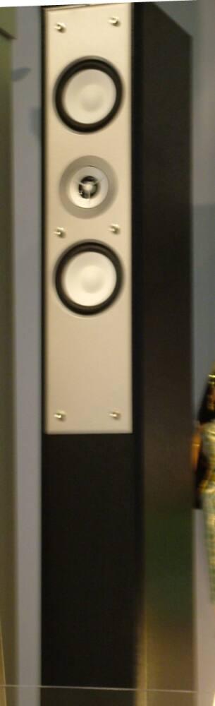 TOWER SPEAKERS